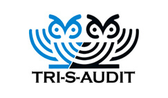 tri s audit